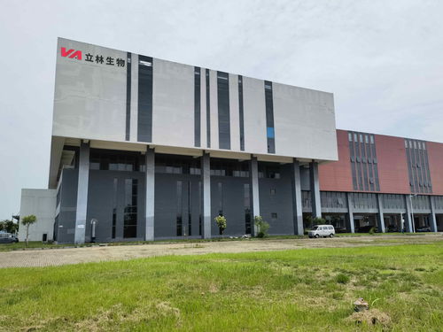 雙品牌戰略驅動，雙廠布局夯實根基 蓋夫內外貿并舉，技術開發引領全球化新篇章